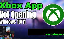 Fix Xbox App Not Launching Games on Windows 11 10