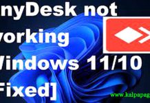 How to fix AnyDesk not working on Windows 11/10 How to fix AnyDesk not working on Windows 1110