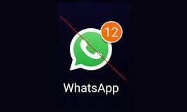 WhatsApp Not in the Notifications List on iPhone