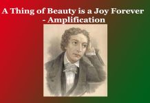 A Thing of Beauty is a Joy Forever – Amplification A Thing of Beauty is a Joy Forever - Amplification