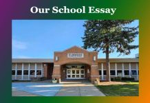 Our School Essay Our School Essay