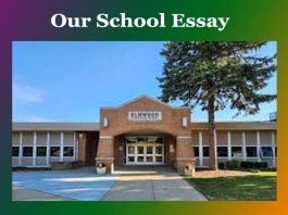 Our School Essay