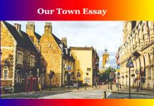 Our Town Essay Our Town Essay