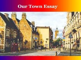 Our Town Essay