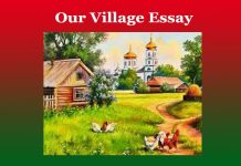 Our Village Essay Our Village Essay