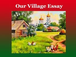 Our Village Essay