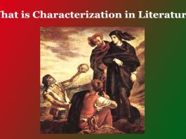 What is Characterization in Literature