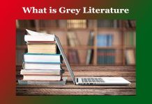 What is Grey Literature What is Grey Literature