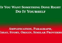 If You Want Something Done Right Do It Yourself | Amplification, Essay If You Want Something Done Right Do It Yourself