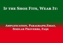 If the Shoe Fits, Wear It If the Shoe Fits, Wear It