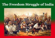 The Freedom Struggle of India The Freedom Struggle of India