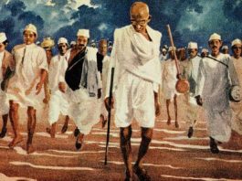 The Role of Mahatma Gandhi in the Freedom Struggle of India