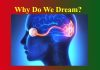 Why Do We Dream? Why Do We Dream
