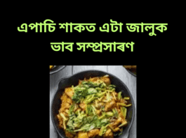 এপাচি শাকত এটা জালুক