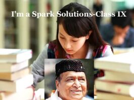 I'm a Spark Solutions-Class IX